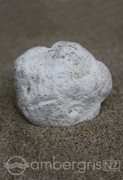 Ambergris 5 Grams