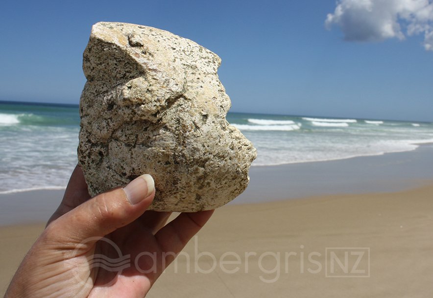 https://www.ambergris.co.nz/uploads/images/beachcombing-2.jpg