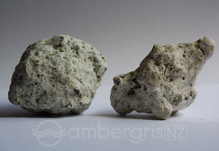 Ambergris meaning