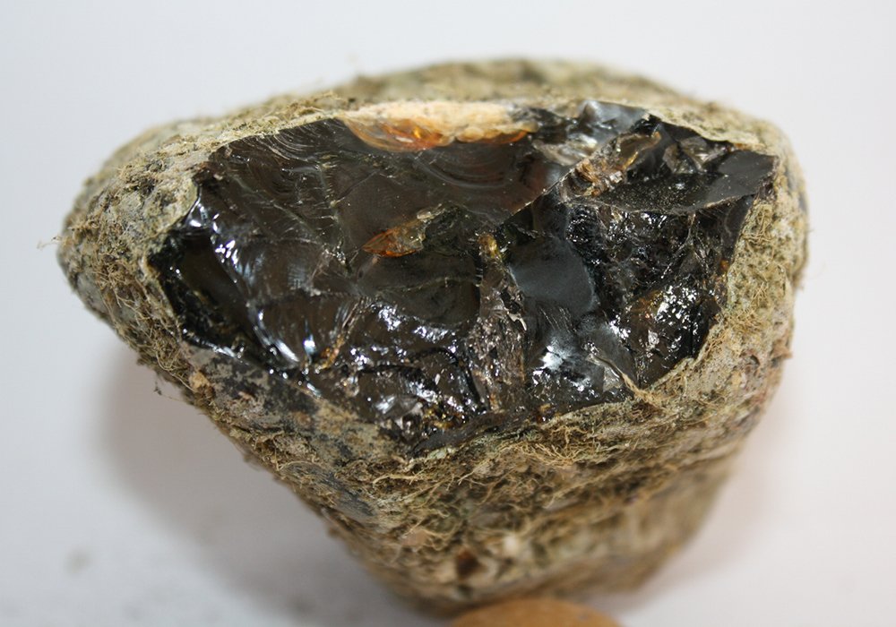 Natural Tree Resin/Fossilised Tree Resin Example - Ambergris NZ Ltd