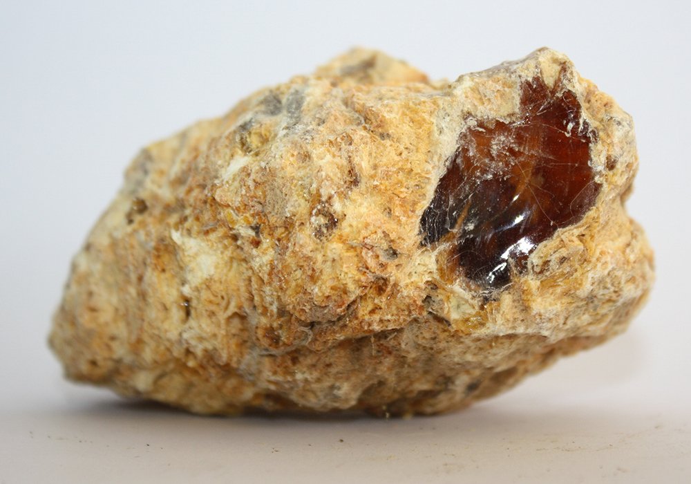 Natural Tree Resin/Fossilised Tree Resin Example - Ambergris NZ Ltd